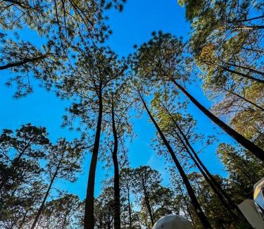 Tapalpa Otro | Luahara Glamping Tapalpa - Domo Natural Experience