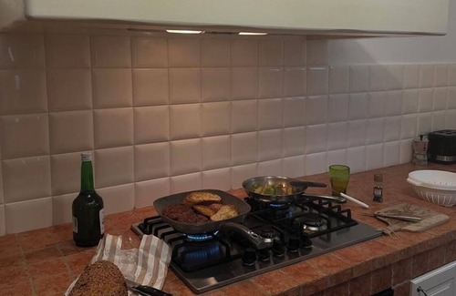 Nozanno Otro | Lucca Tuscany Olive Farm house 4 bedrooms Terrace views of Tuscany with pool