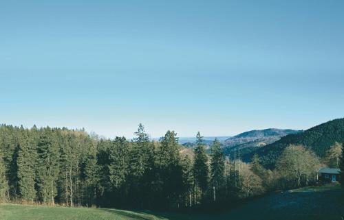Hahnenklee Hotel | Luchs Quartier Hahnenklee