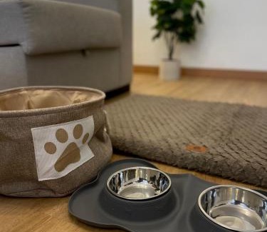 Lugo Apartamento | Lucus Urban Centre