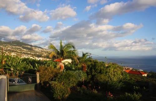 Estreito da Calheta Apartamento | Lugar dos Louros 2