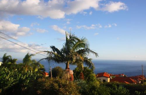 Estreito da Calheta Apartamento | Lugar dos Louros 1