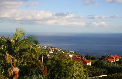 Estreito da Calheta Apartamento | Lugar dos Louros 1