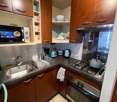 Bellas Artes Apartamento | Lujoso y Confortable Departamento de Valentina