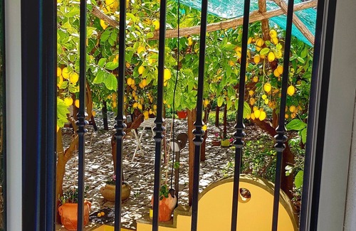 Minori Villa | Limoneto di Lulù, ¡vacaciones entre los limones!