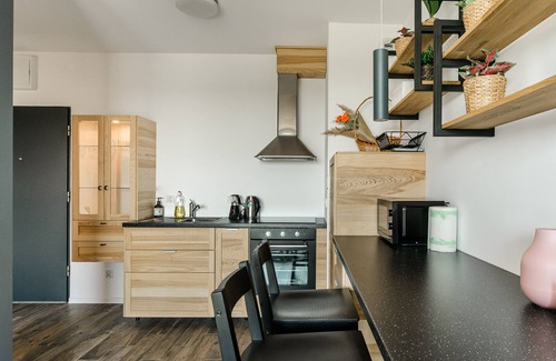 Baluty Apartamento | Lumina apartment on Drewnowska