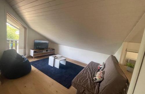 Annecy-le-Vieux Apartamento | Lumineux, vue montagne