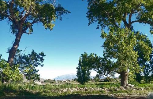 Payogasta Hotel | Luna Calchaqui