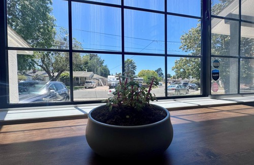Castro Valley Casa | Luna's Hosted Retreat - Private Family & Pet Friendly 2BR Suite