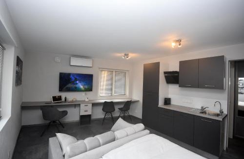 Saint-Louis Apartamento | LUNAR, proche frontière Basel, Free parking