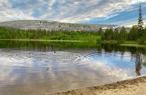 Lampivaara Chalet De Esquí | Luosto Villa by Lapland Villas, near Lake Aarnilampi Beach, Sauna, WiFi, Great Private Villa for Families & Outdoor Lovers