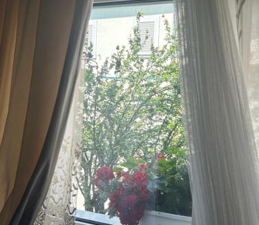 Pancevo Apartamento | Lux Beba Pancevo