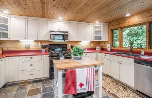 Lawrence Cabina | LUXURY LODGE - sleeps 20 - pontoon rental nearby - ski resorts close - private