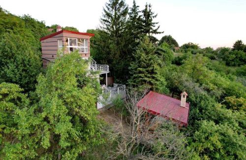 Petrovaradin Casa | Lux Star-vila za odmor