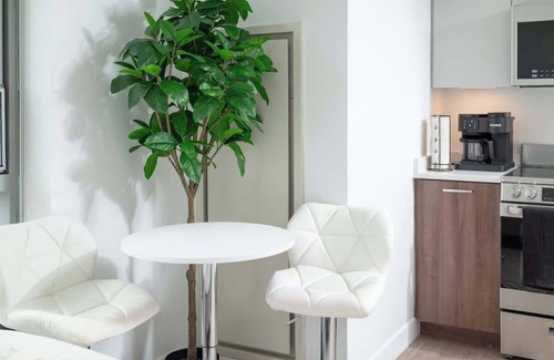 Central Square Apartamento | Lux Studio 2x Queen beds Gym near MIT Harvard in Central Square