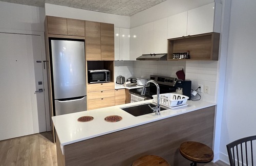 Griffintown Apartamento | Luxueux condo in Downtown