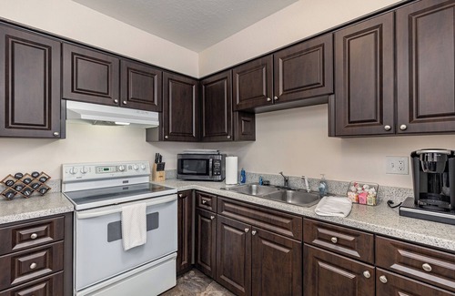 Tarpon Springs Apartamento | Luxurious 2 bedroom near Innisbrook Golf Resort!