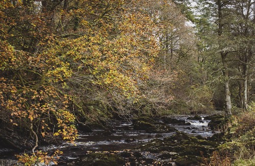 Llanfair Caereinion Cabaña | Luxurious and cosy riverside cottage for two
