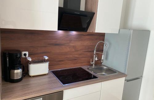 Mainz Apartamento | Luxurious and distinctive new-build apartment in Mainz's charming Oberstadt district