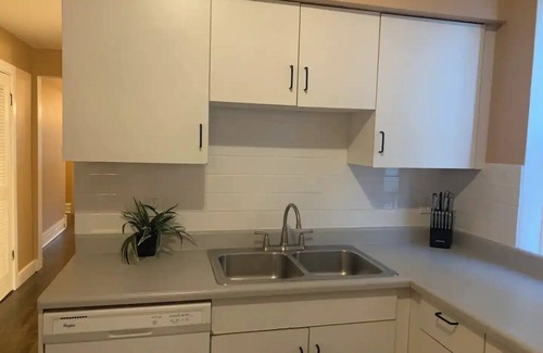 Andersonville Apartamento | Luxurious Andersonville Oasis
