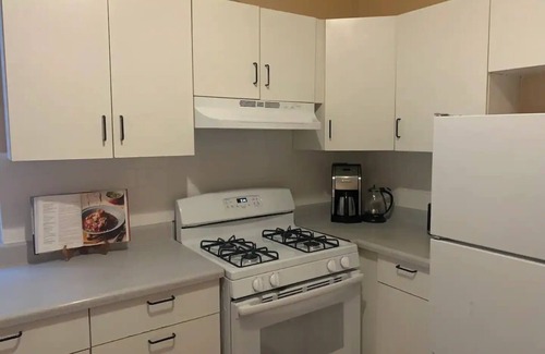 Andersonville Apartamento | Luxurious Andersonville Oasis