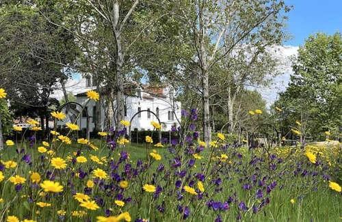 Lousa Apartamento | Luxurious stay at Quinta do Areal country house