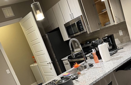 West Ashley Apartamento | Luxurious Apartment in West Ashley -15 minutes from Downtown