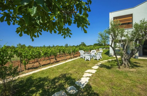 Butkovici Villa | Lujoso oasis rodeado de olivares y viñedos, piscina climatizada