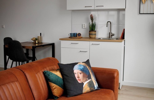 Tilburg Casa | Habitación lujosa, baño recién renovado, uso gratuito de cocina y lavadora, y fácil acceso a la univ