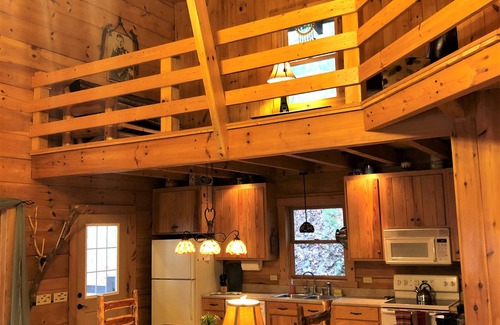 Robbinsville Cabina | Luxury 4BR Log Cabin, Private Mountain Acreage, Dog+Biker Friendly, Hot Tub WiFi