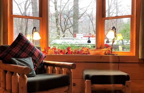 Robbinsville Cabina | Luxury 4BR Log Cabin, Private Mountain Acreage, Dog+Biker Friendly, Hot Tub WiFi