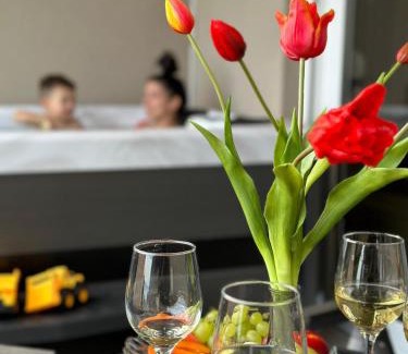 Veliko Brdo Apartamento | Luxury and Spa App F