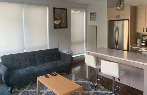Brookline Apartamento | Luxury apartment in a quiet neighborhood in the Heart of Boston