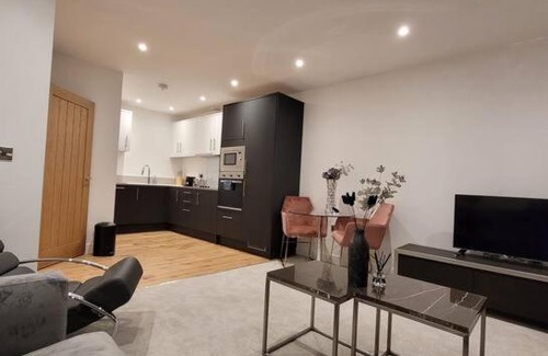 Wainscot Casa | Luxury Apartment In The Center Of Rochester