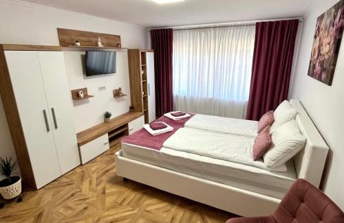 Fagaras Apartamento | Luxury Apartment