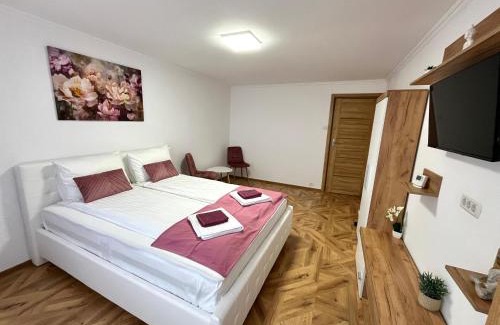 Fagaras Apartamento | Luxury Apartment