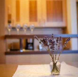 Hocko Pohorje Apartamento | Luxury apartments Prežin