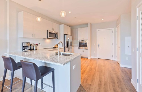 Seaport District Apartamento | Luxury Apt In Seaport Walk to Restaurants