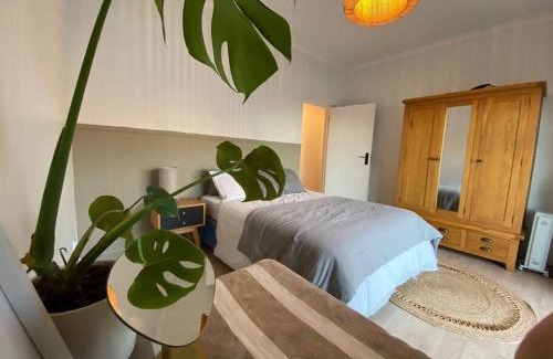 Jeffreys Bay Casa | Luxury Beach House, Jeffreys Bay