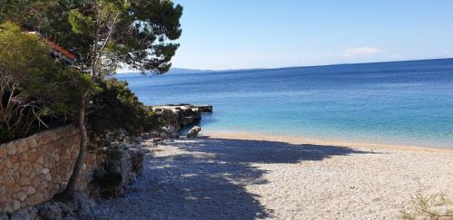 Ivan Dolac Apartamento | Luxury beach