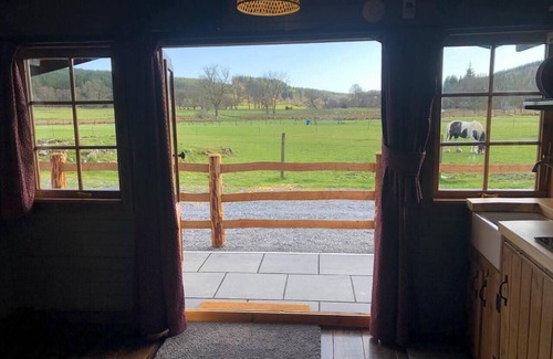 Galloway Forest Park Cabina | Luxury Cabin in the Magical Galloway Forest Park