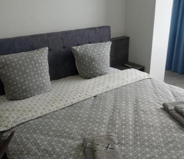 Uzhhorod Apartamento | Luxury Central Apartment