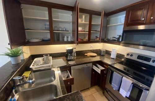 University City Apartamento | -Luxury central, spa and pool LJ condo