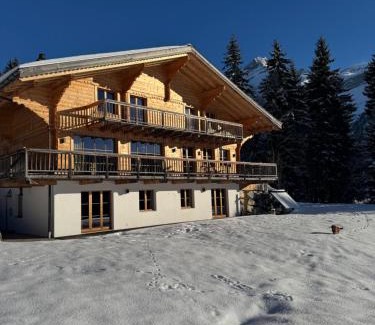 Ormont-Dessus Chalet De Esquí | Luxury chalet in Les Diablerets Villars ski area