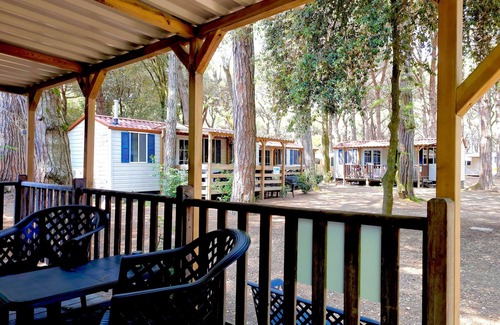 Lido di Spina Chalet De Esquí | Luxury Chalet near the sea! (no: 724)