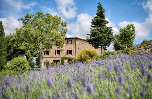 Panzano in Chianti Apartamento | Valletta Olivo in Panzano