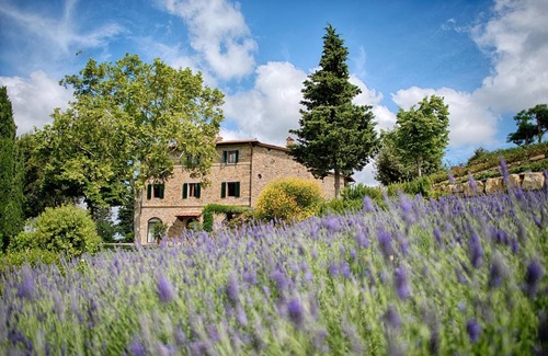 Panzano in Chianti Apartamento | Valletta two Bedrooms Olive