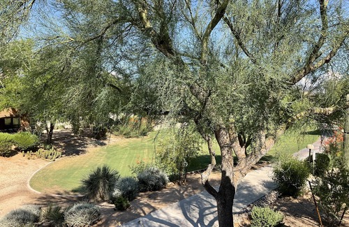 Village Fairways Condominio | Luxury condo in Scottsdale**** contact owner for specials!!
