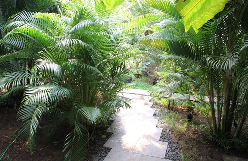 Morjim Cabina | Luxury cottage in a lush green-50 meters from Morjim beach