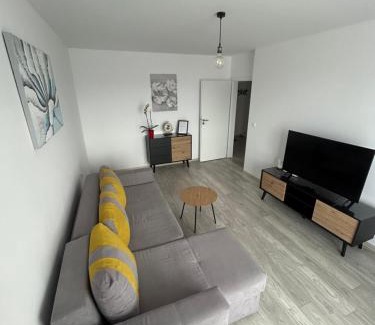 Tirgu Mures Apartamento | Luxury & Cozy Apartment - Maurer Residence Tg-Mureș